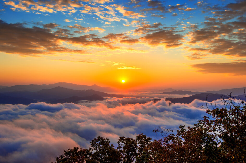 A ogni alba, una nuova luce, un nuovo inizio - Desirèe Mantovano