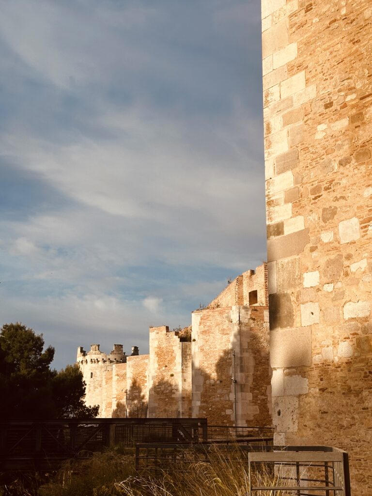 Fortezza Svevo Angioina di Lucera - Desirèe Mantovano