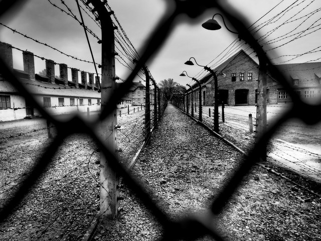 Campi di concentramento per la giornata della memoria - Desirèe Mantovano