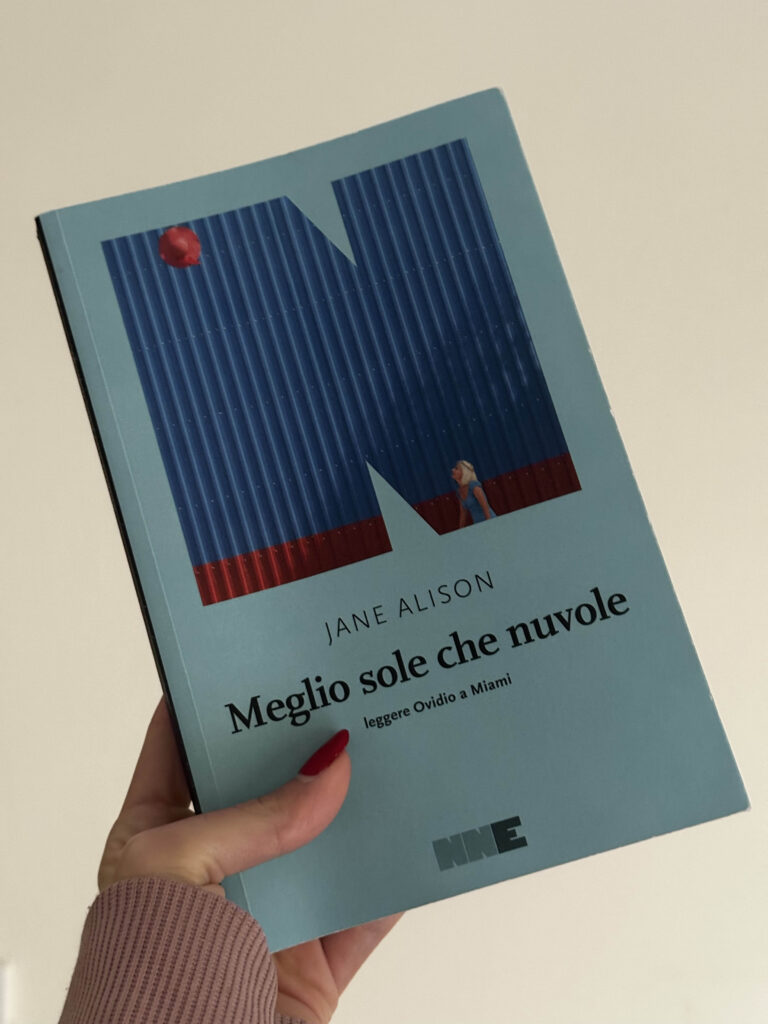 Meglio sole che nuvole di Jane Alison_un diario frammentato che non conquista - Desirèe Mantovano