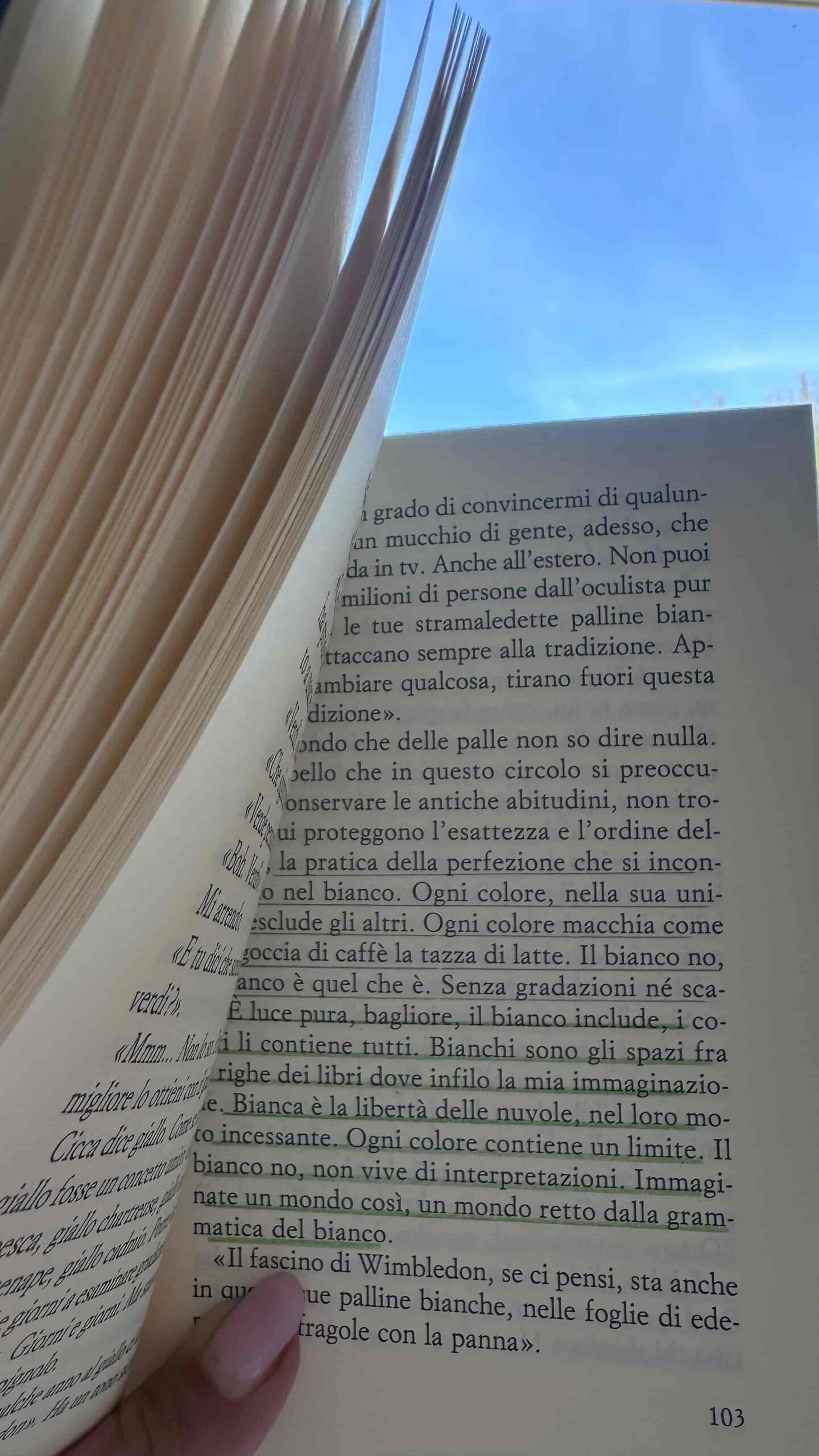 La grammatica del bianco - Carotenuto